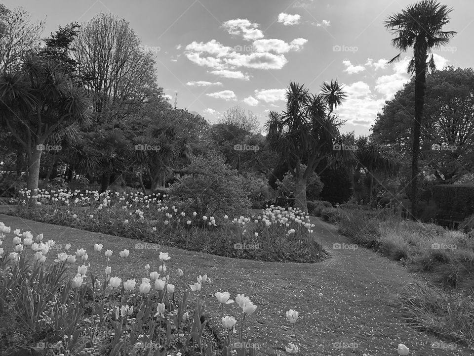 Black and white scene from a popular gardens in Dartmouth, South Hams in early summer 2019.