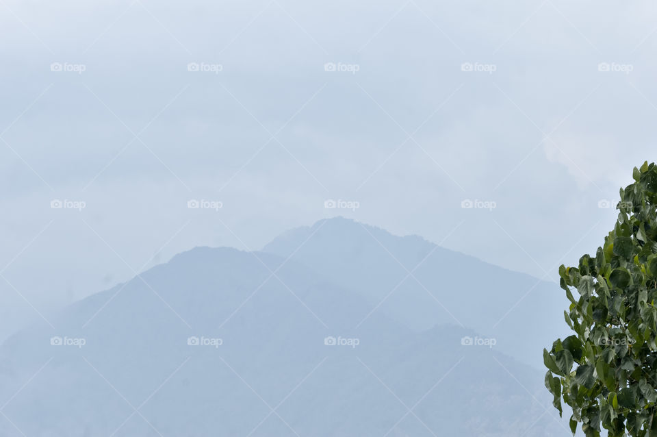 Tree top in winter and foggy mountain background. Cloudy himalayan Range. Winter landscape with distant mountains. Winter landscape views of mountain through trees. Copy space room for text top left