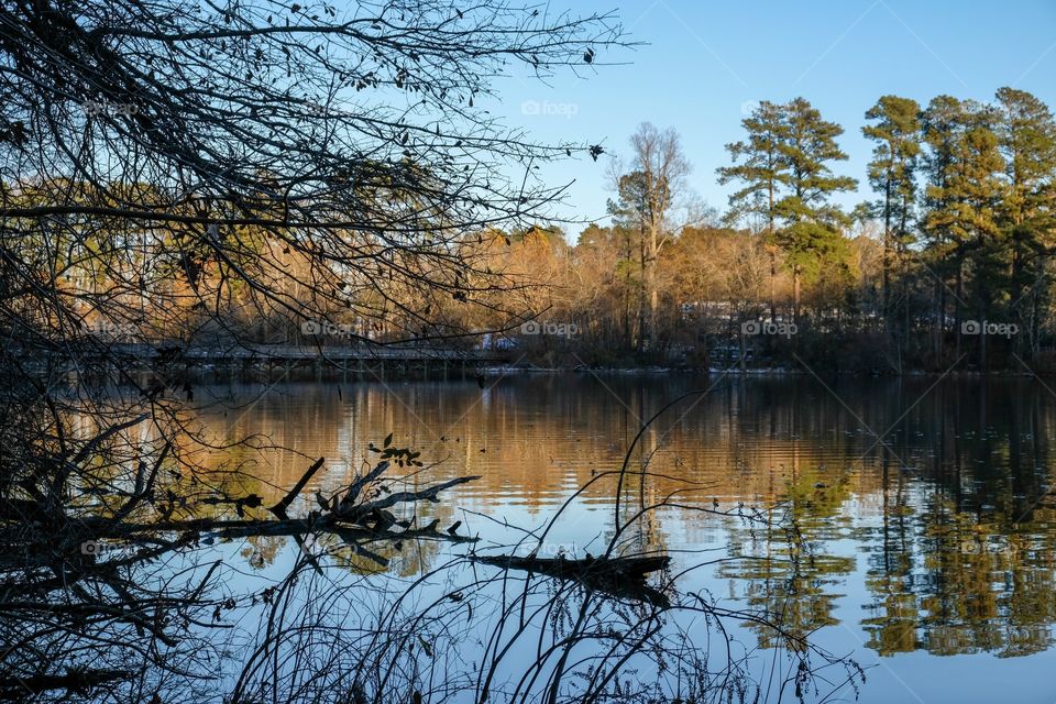 The late afternoon sunshine falls upon the treetops across the pond with mirror reflections on the still surface and patchy remnants of snow on the ground at Yates Mill County Park in Raleigh North Carolina. 