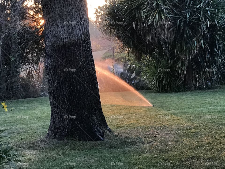 Sunlight through a Sprinkler