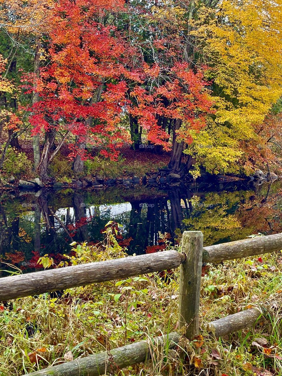 Autumn colors stand proud on the other side of a still river on a cloudy, fall afternoon.