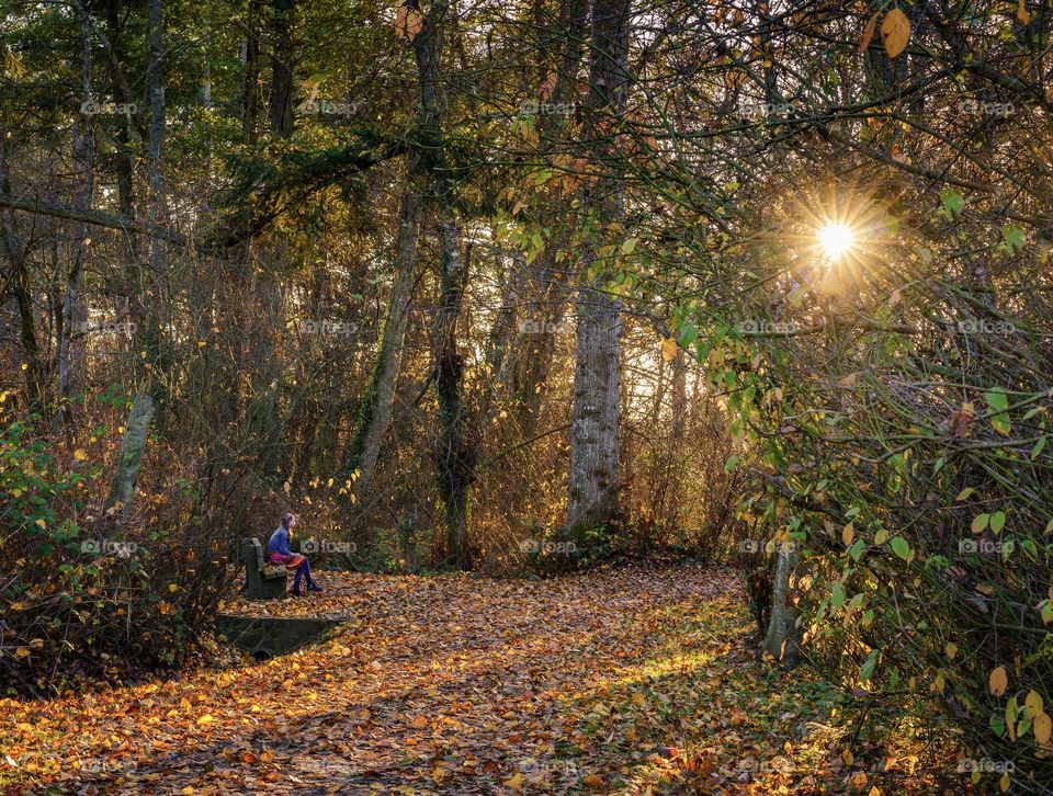 Girl surrounded by sunlight beams and shadows in a dark forest 