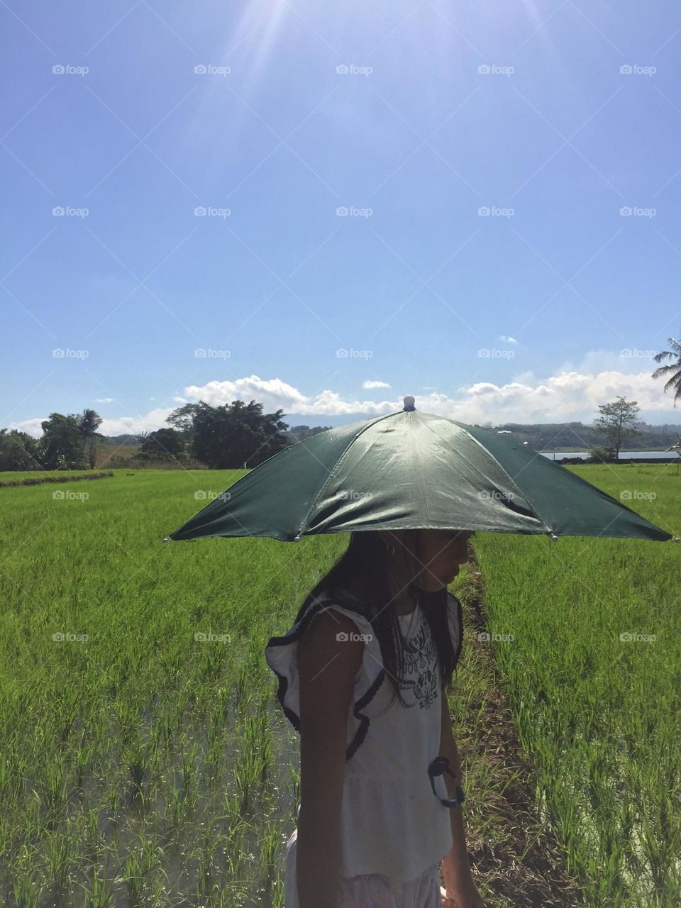 At the rice field 