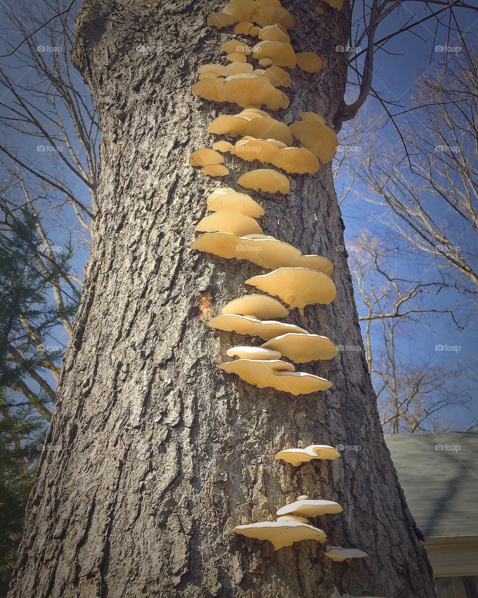 I love when nature uses its imagination to make beautiful things to catch your eye