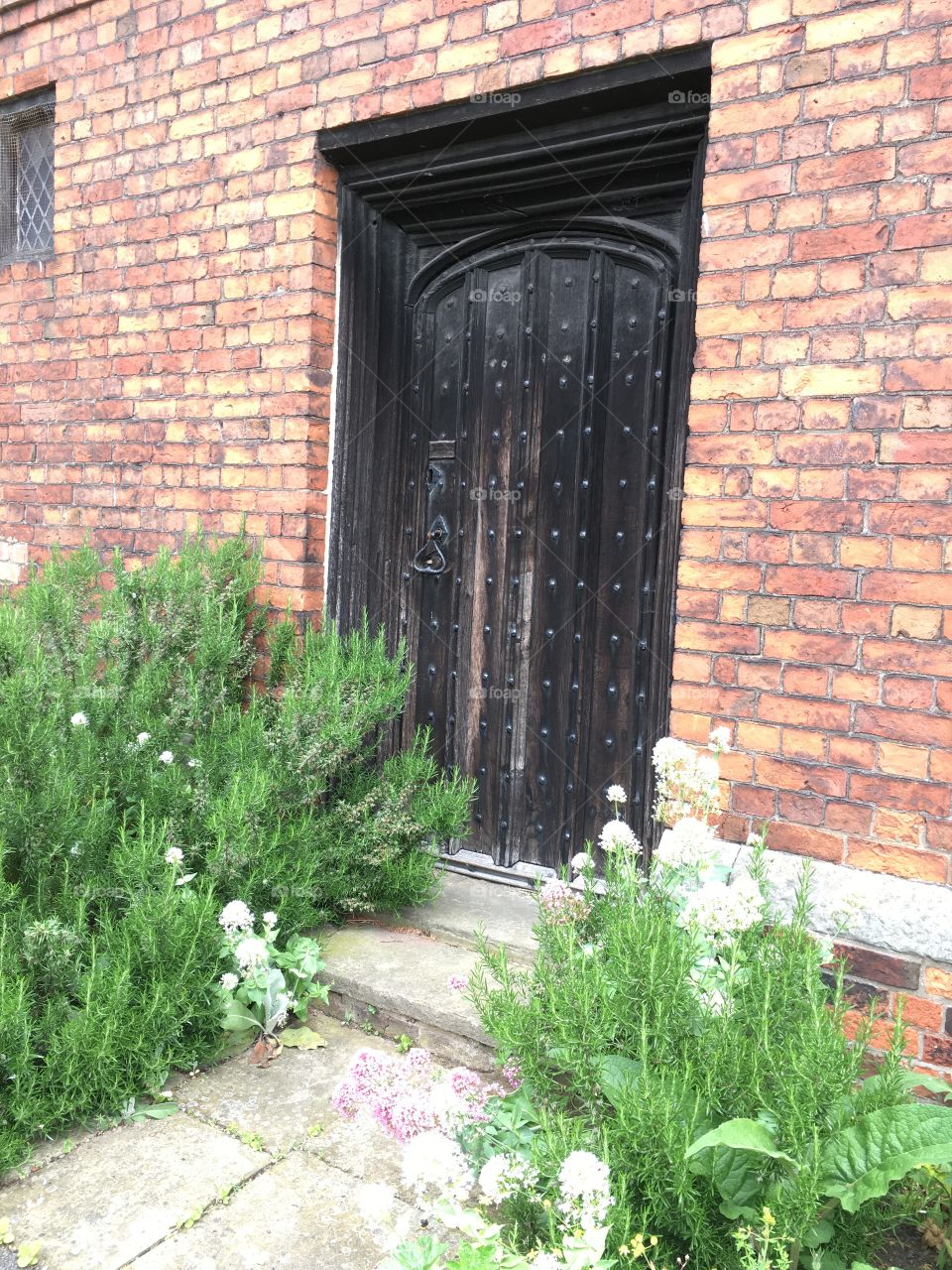 Really old metal studded timber door surrounded by plants at the medieval Manor House of Gainsborough Old Hall