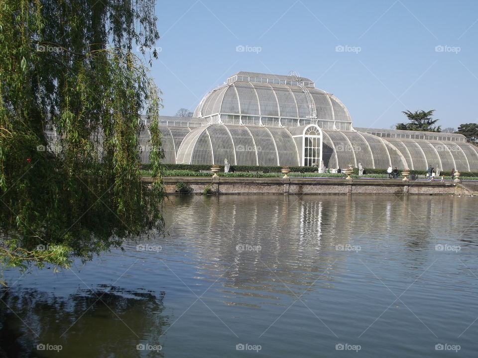 Glasshouse By The Lake