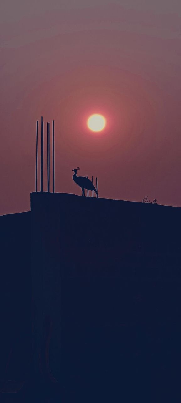 Morning  beauty of my Village  #India