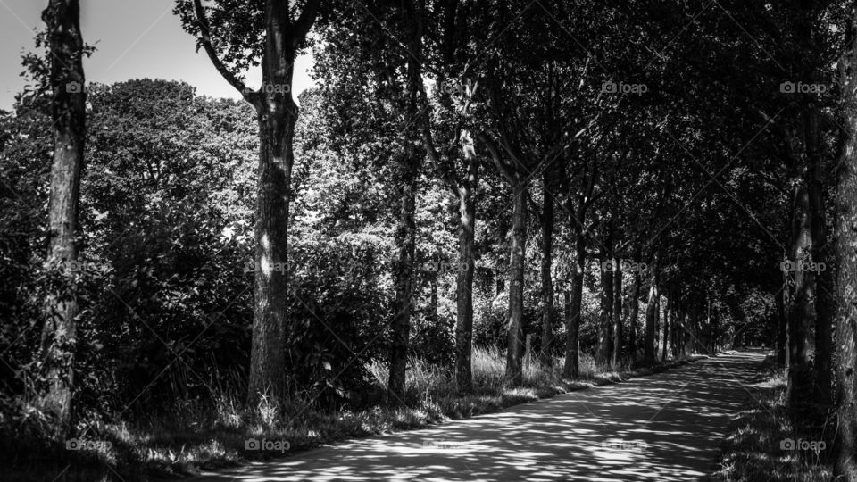 The countryside in Belgium.