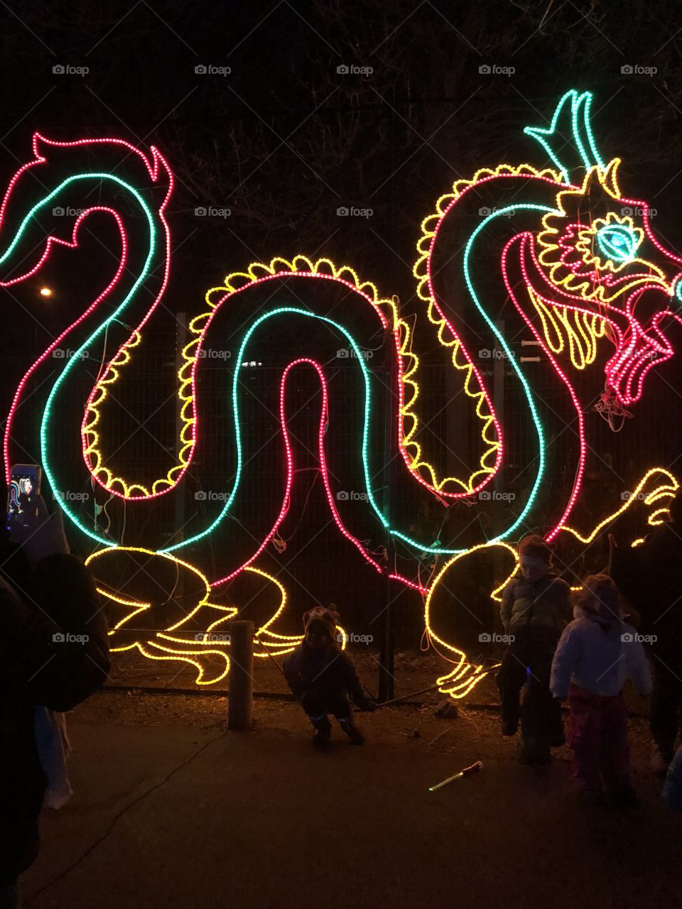 Dragon, lights, bright, color