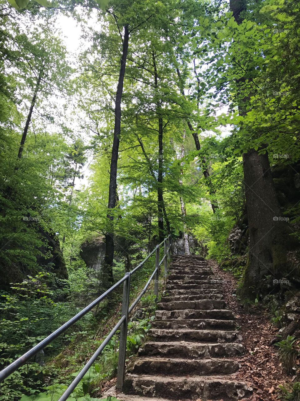 Teufelsschlucht 