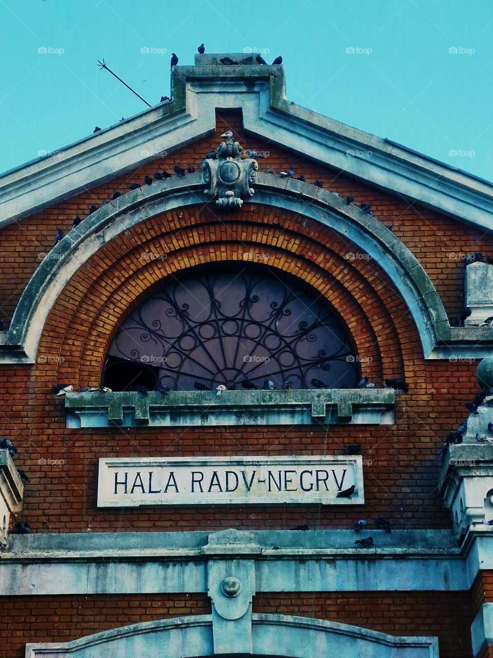 Radu Negru market hall