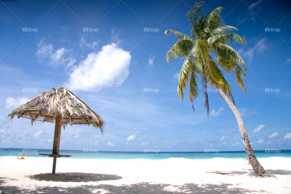 beach travel summer sunny by maapu