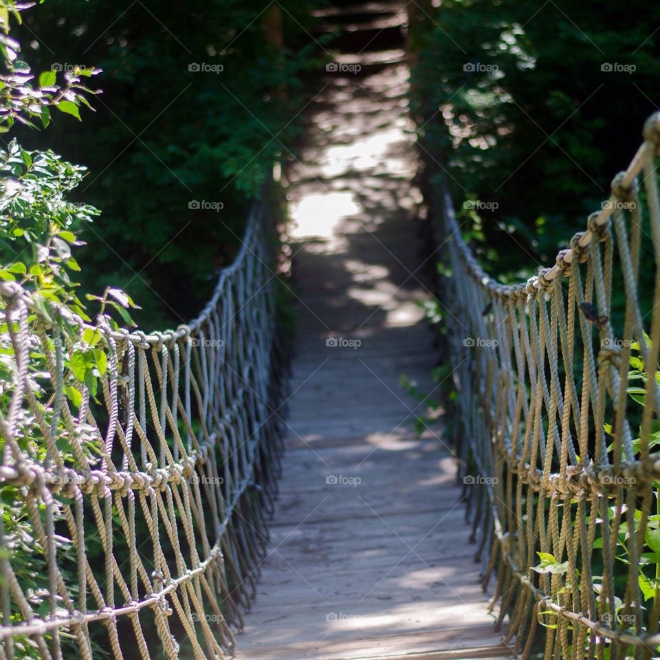 light nature photography bridge by danielrichard