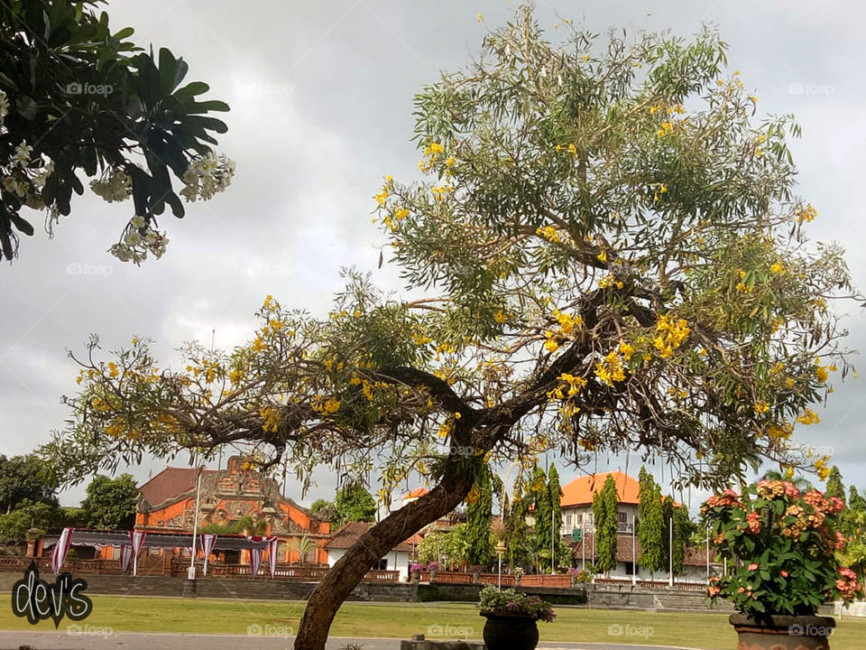 In the centre of the city