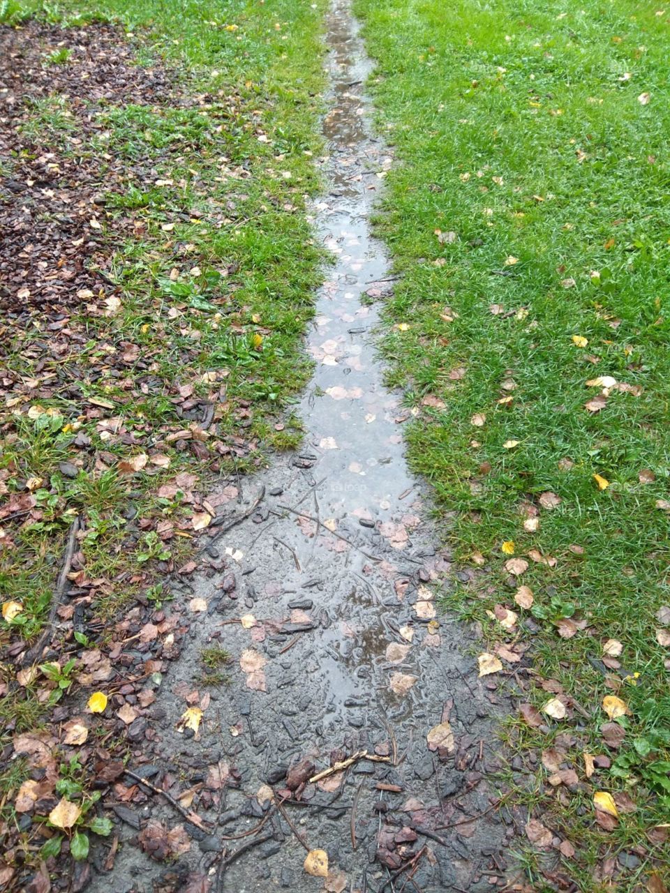 Muddy path with colored leaves and a puddle