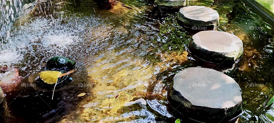 This shallow sun drenched pond with wood pilings can be found outside at the botanical garden of “Berlin”, the now again capitol of Germany in the “Steglitz” neighborhood. 2024. Hypnotic Productions