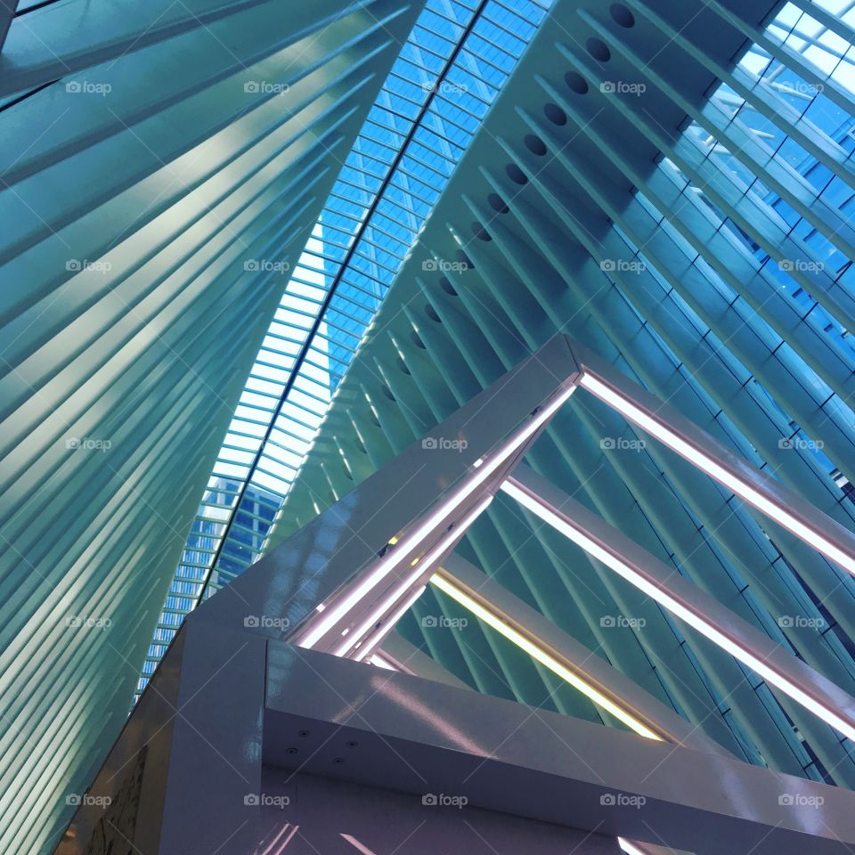 Occulus Architecture Illuminated 