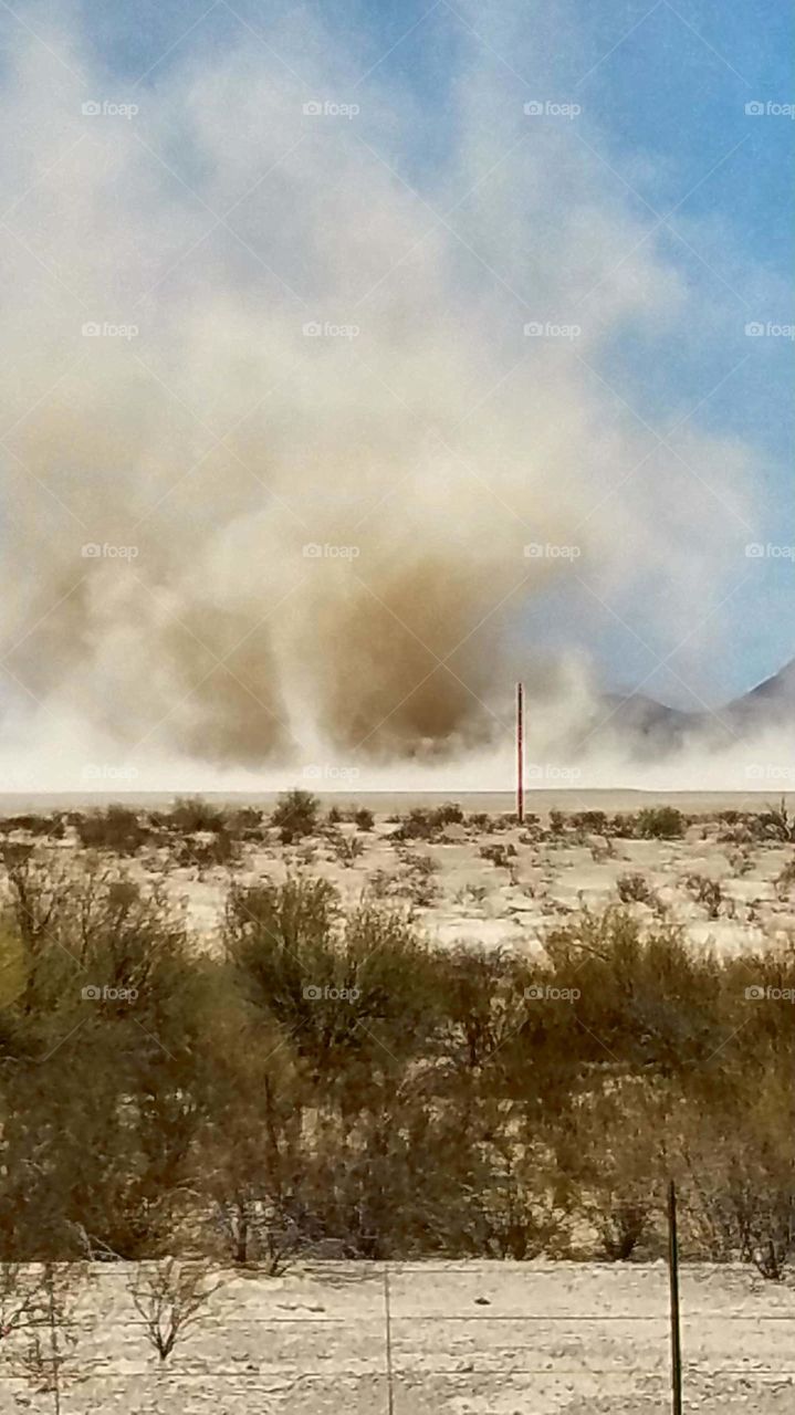 the quintessential dust devil