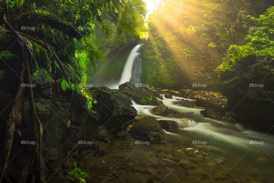 waterfall in the morning