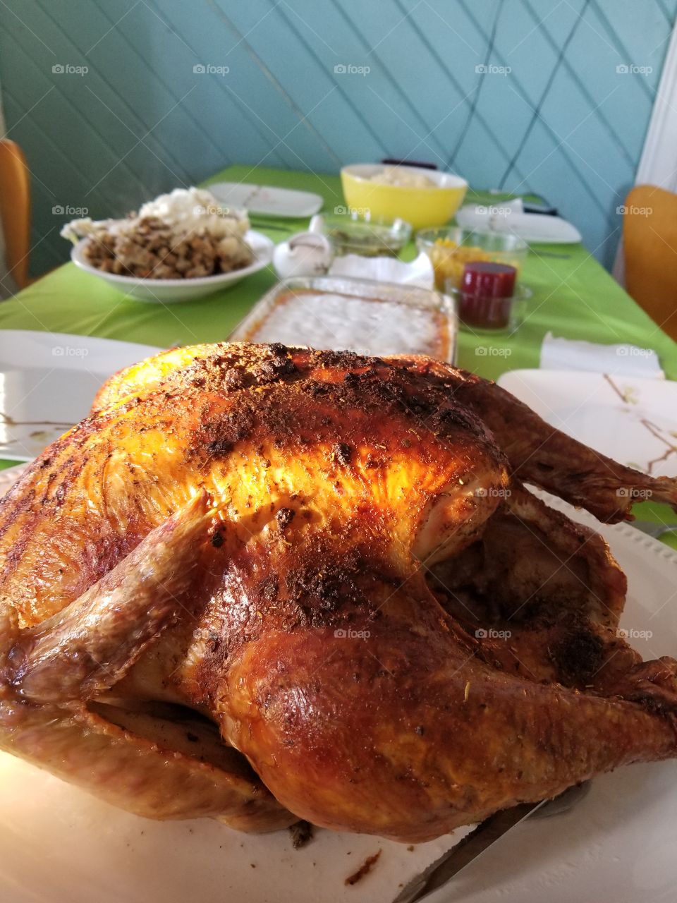 feasting in the sunlight streaming through the windows
