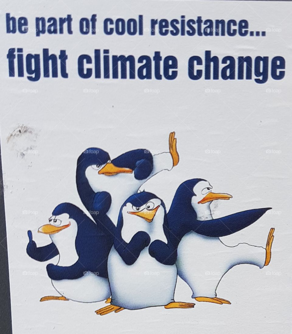help the Pinguins