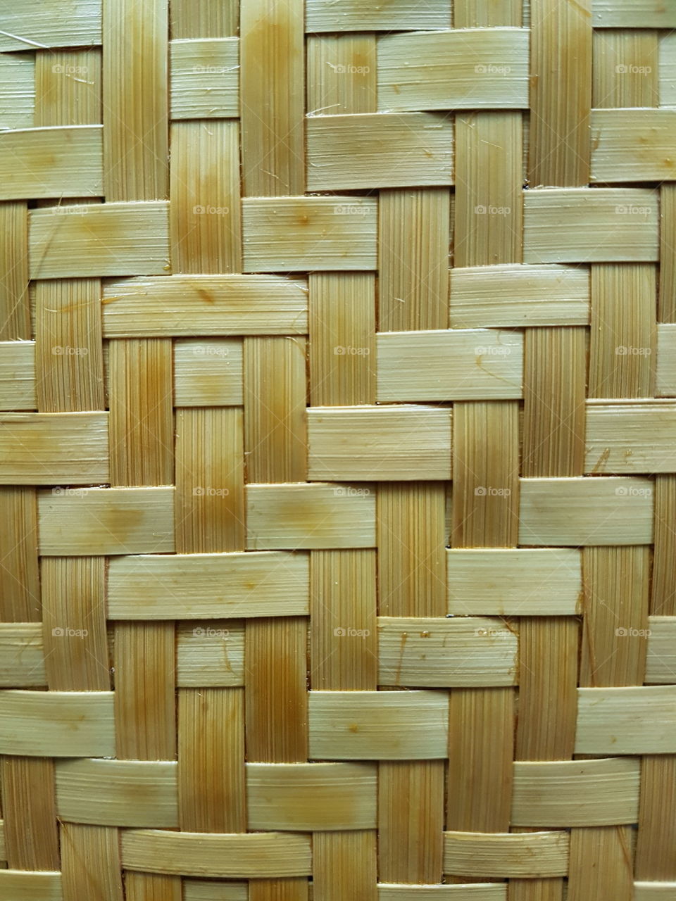 Bamboo texture 2