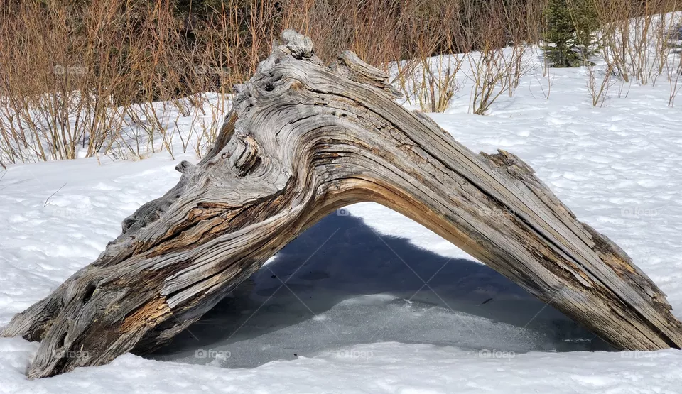 Log