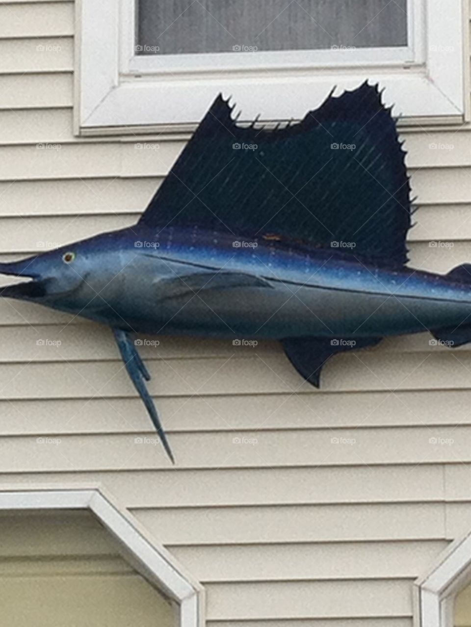Jersey shore kitschy fish
