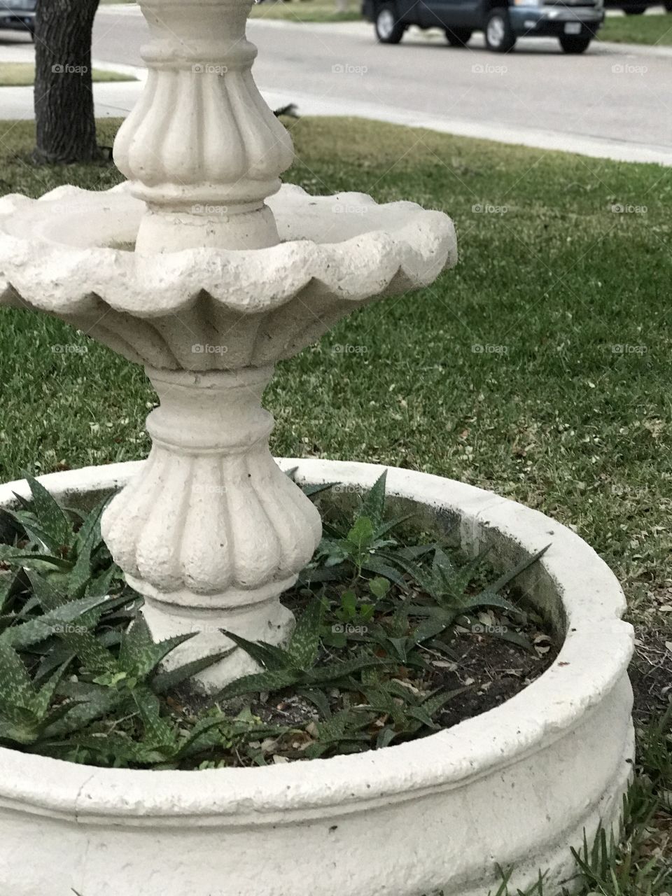 Fountain 