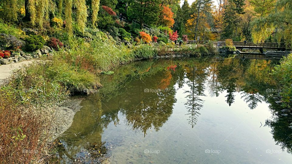 Autumn Colors