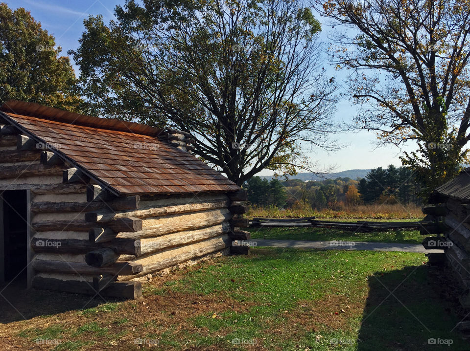 Wood, No Person, Tree, Landscape, Grass