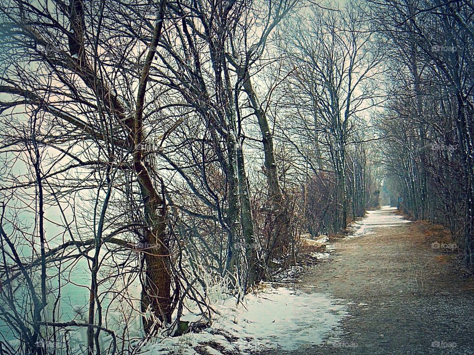 Point Pelee National Park