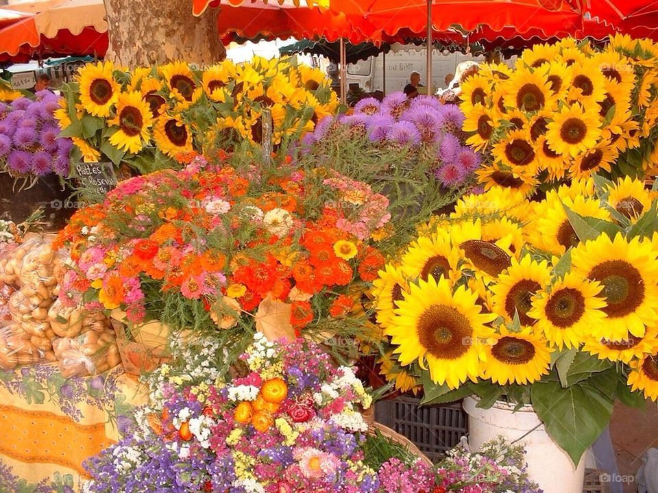 French flower market