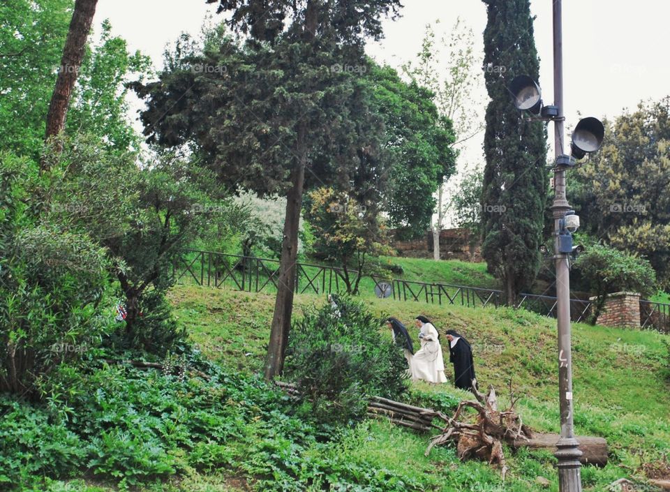 Uphill nuns. Two nuns in traditional habit walk up a tree covered billion Italy