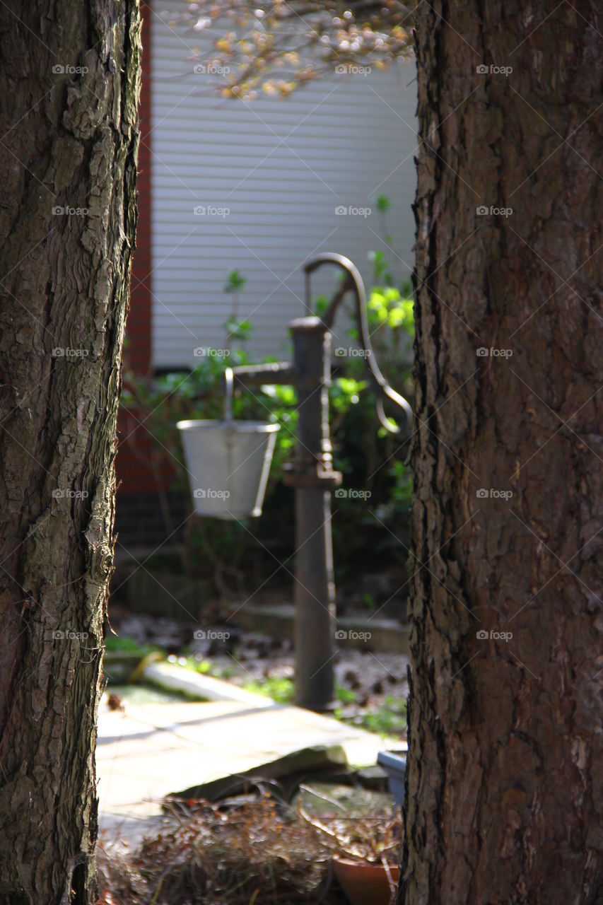 old water pump between trees