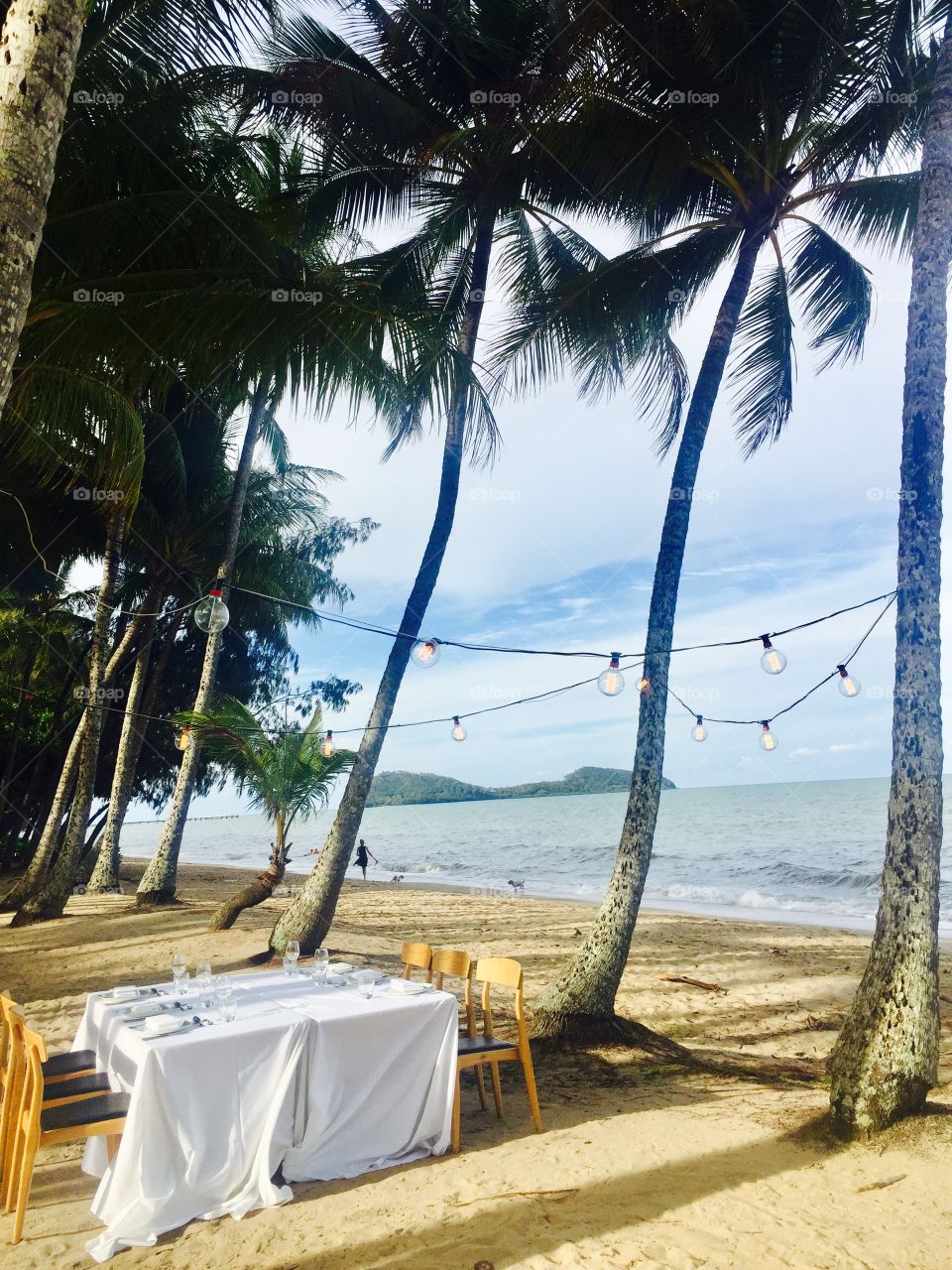 Table and chairs on beach with palm tree