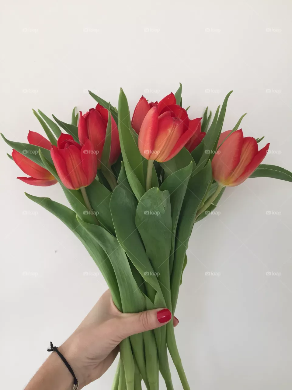 Tulips