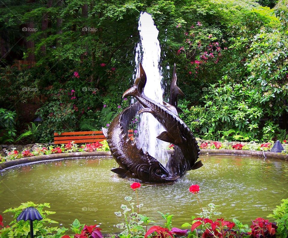 Oceanic sculpture and fountain in Butchart gardens in Victoria and British Columbia;  Sea life, flowers, reflecting pool,