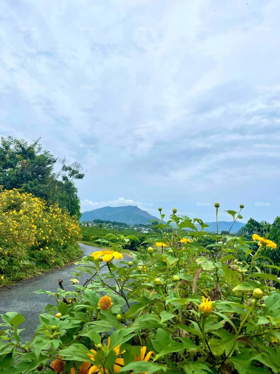 editors' choice: photos of the week