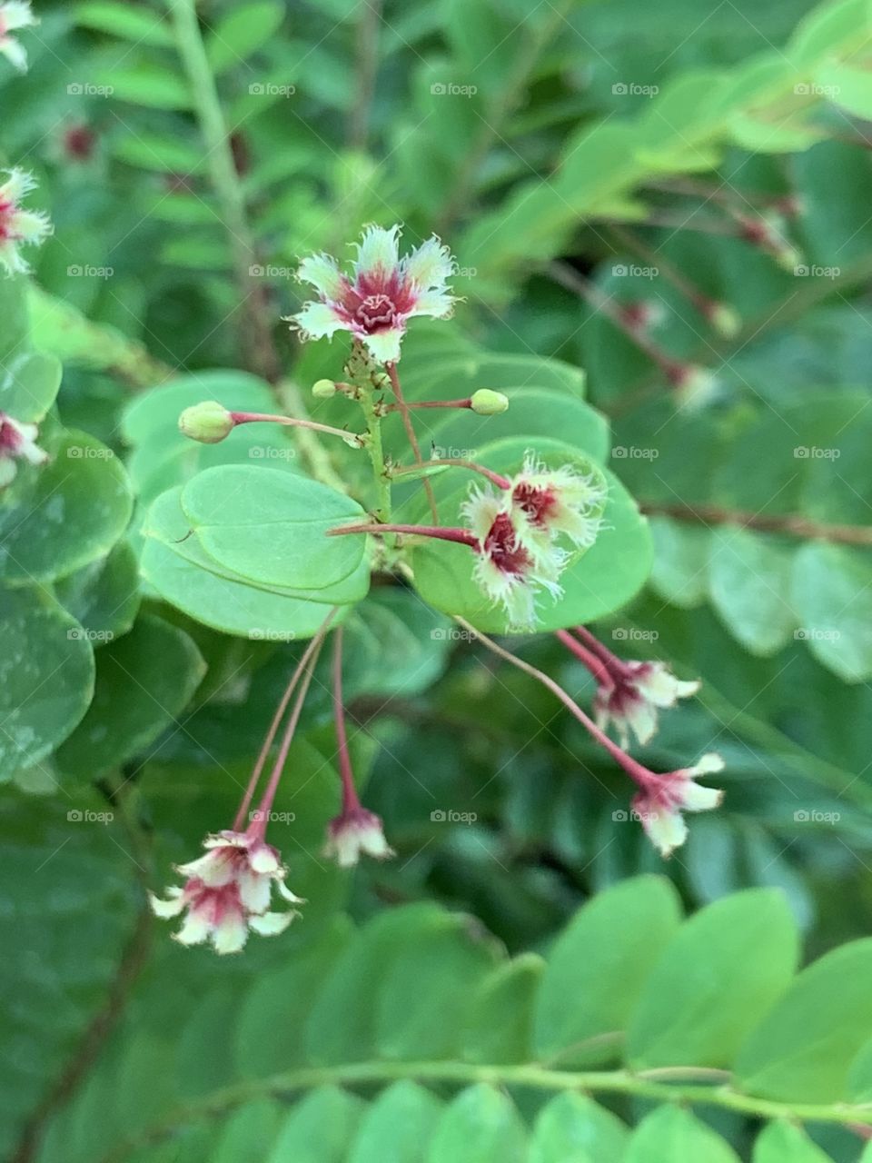 Plants around everywhere, Countryside (Thailand)