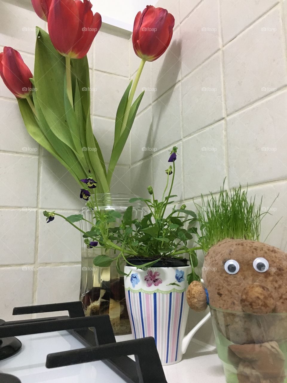 Flowers in the kitchen