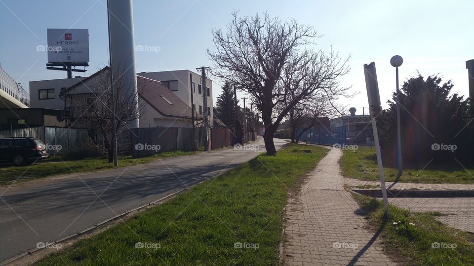 spring,outdoor, outside in the city, road, walking, trees grass, nice weahter