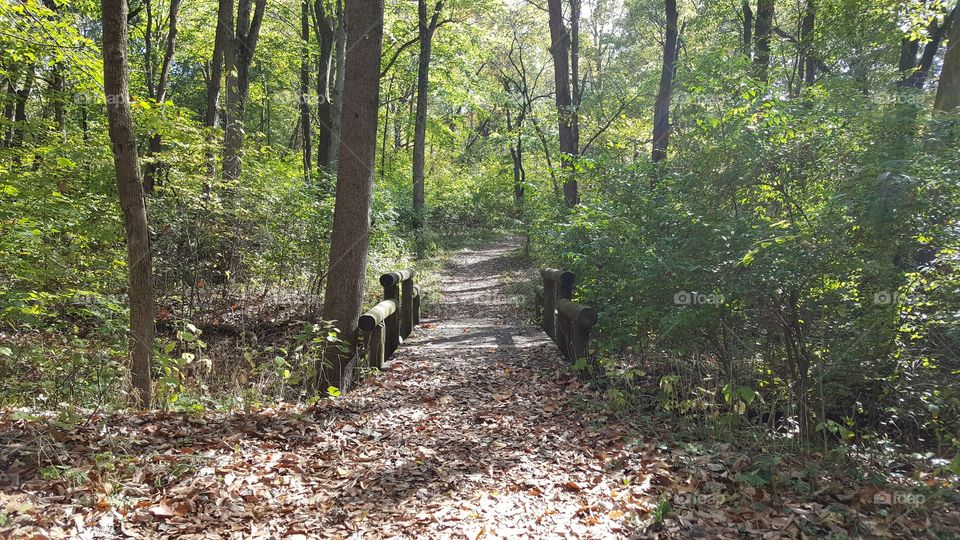 a nice trail with a small bridge or two along the way, twisting through the Abraham Lincoln Memorial Gardens
