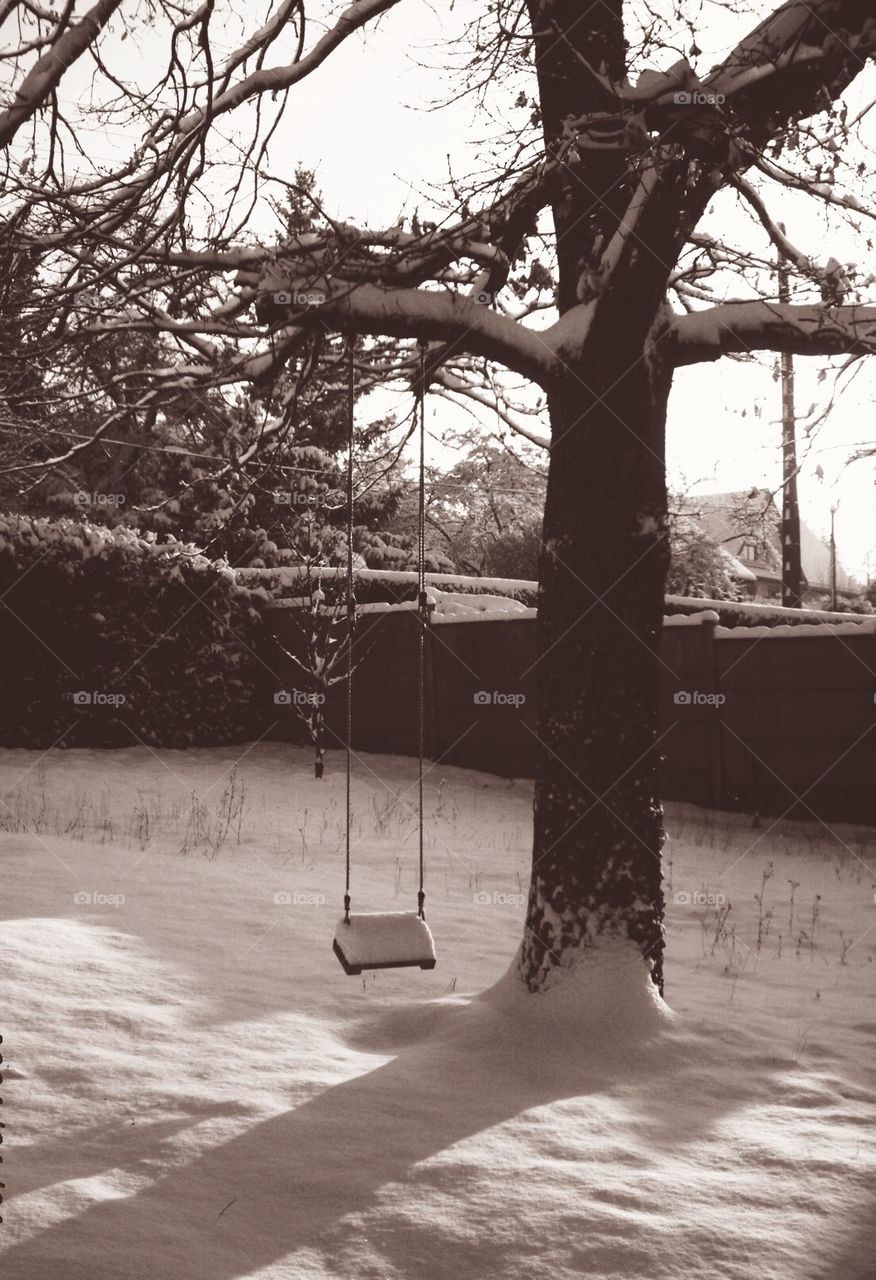 Snowy oak tree swing