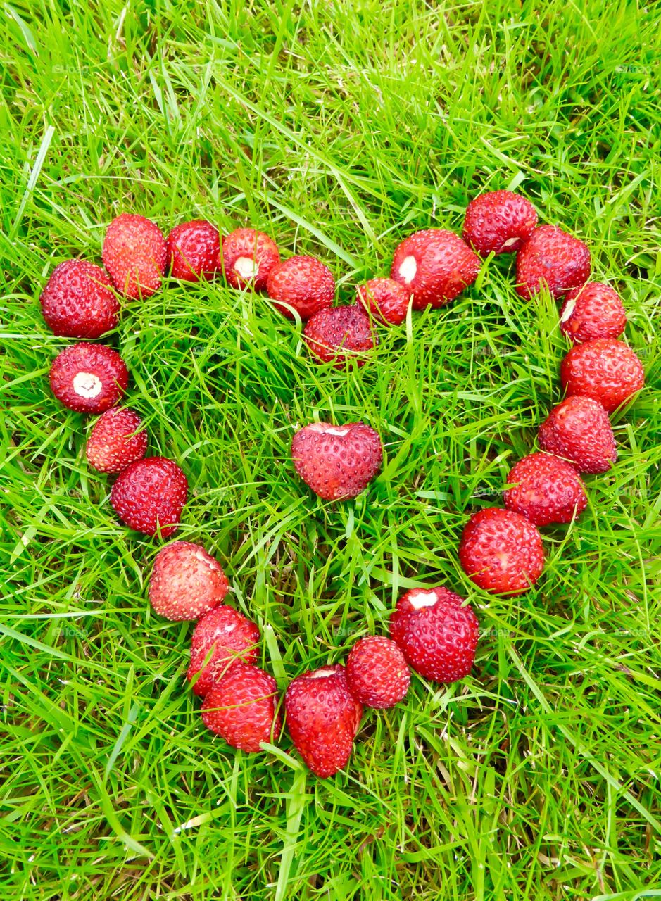 Heart of wild strawberries  . Picked wild strawberries in the garden 