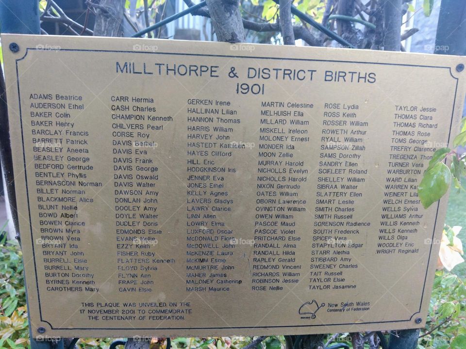 Birth Plaque