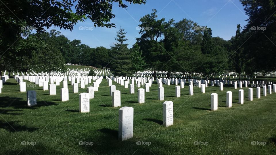 A photo of Arlington National Cemetery in Washington, D.C. 