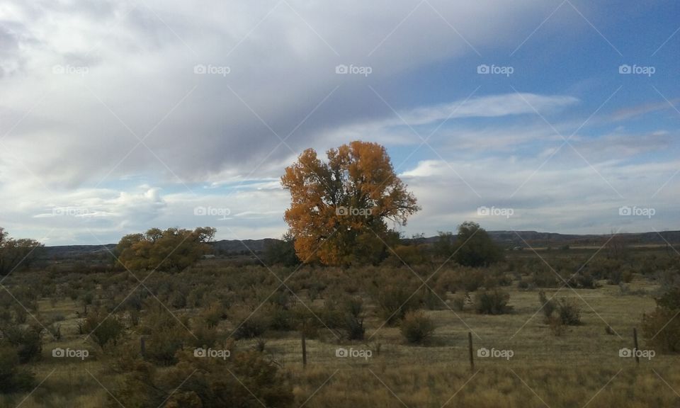 Montana Fall on the Prairies