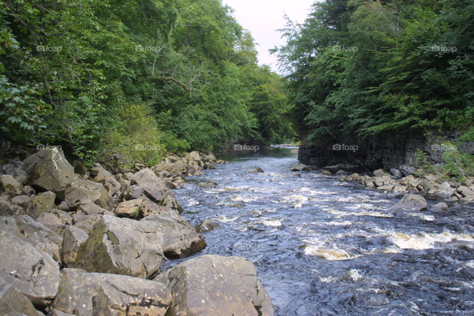 The river Tees Durham in England United Kingdom river 