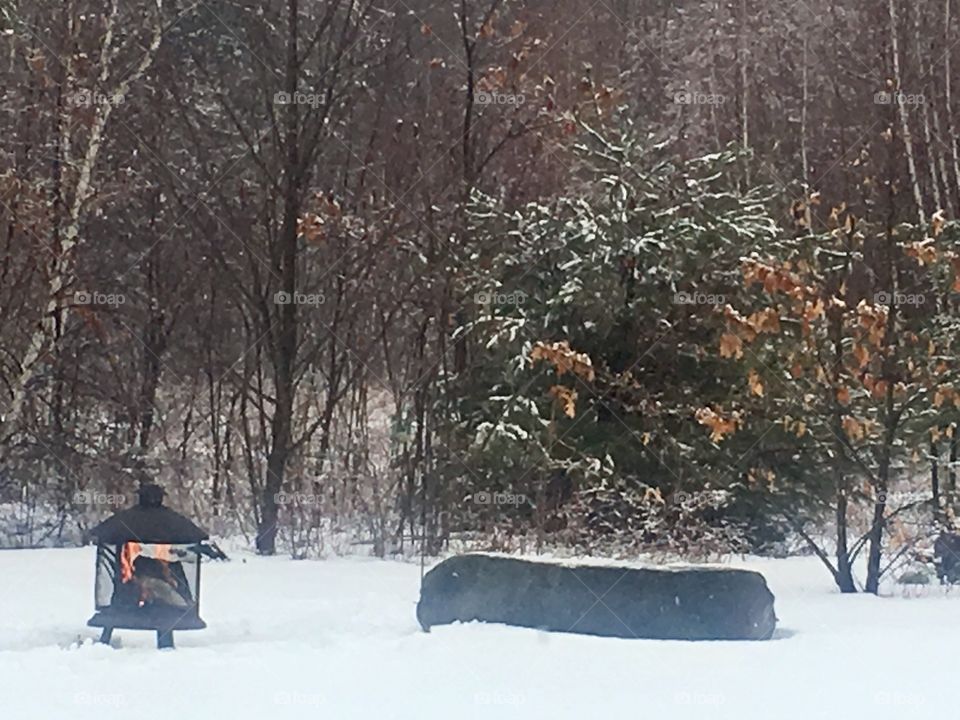 A spring day in the North